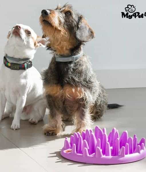 MyHank.it