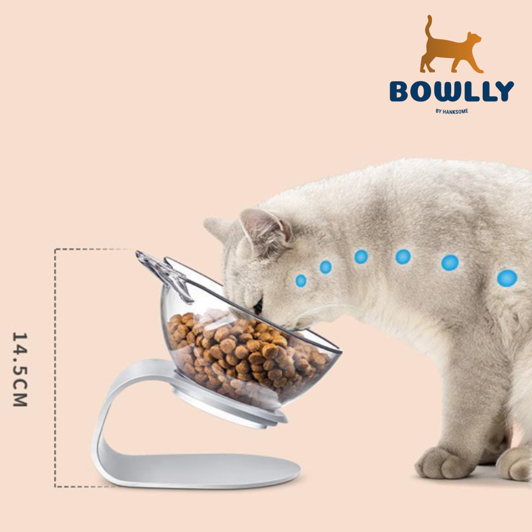 BOWLLY ®️ Ciotola ortopedica per animali domestici 2.0