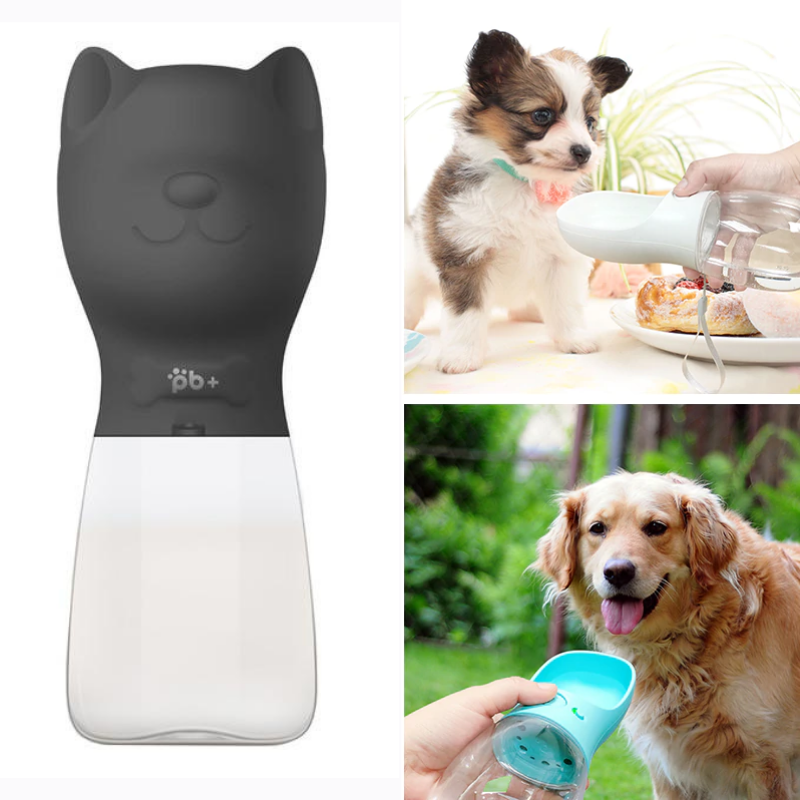 Bottiglia d'acqua portatile per cani