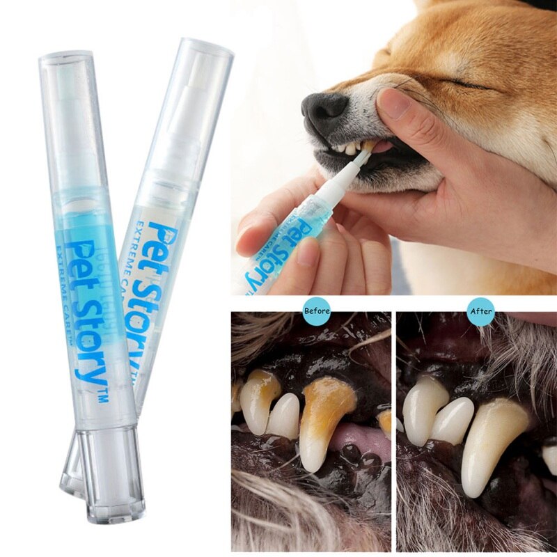 2x Kit per la riparazione dei denti degli animali domestici