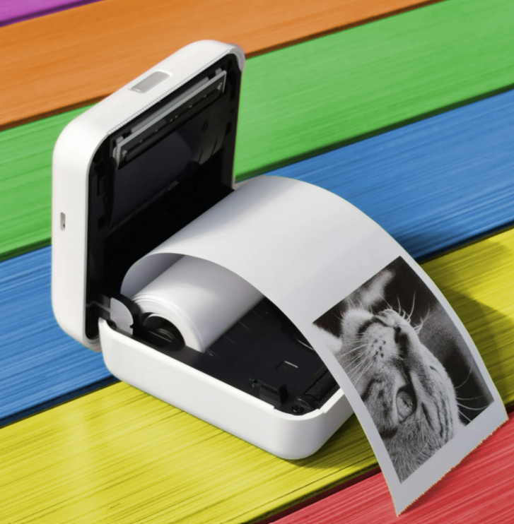 Stampante fotografica smart portatile HOMEPRINT - immagine 5