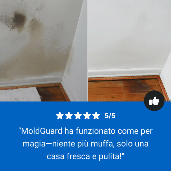 MoldGuard - Spray Anti-Muffa - immagine 8